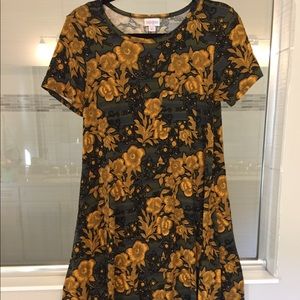 XXS LuLaRoe Carly Dress - floral & Stripes